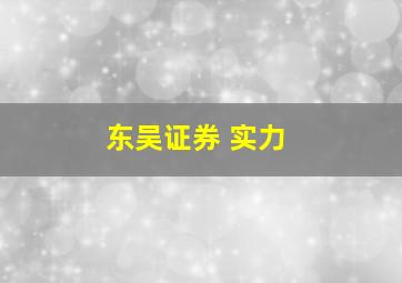 东吴证券 实力